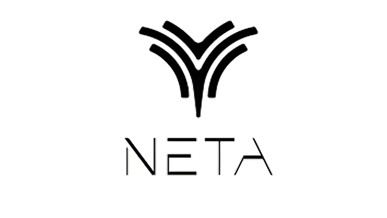 Neta